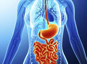 Nine Pearls Hospital Department of Gastroenterology